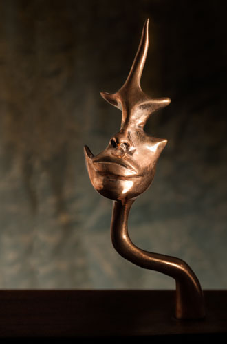 amazone-tim-steiner-1